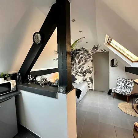 Studio Chaleureux Hypercentre Amiens Exterior photo