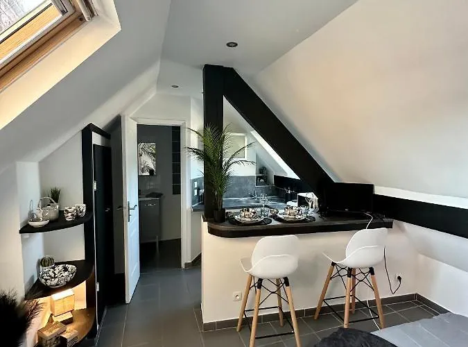Studio Chaleureux Hypercentre Amiens